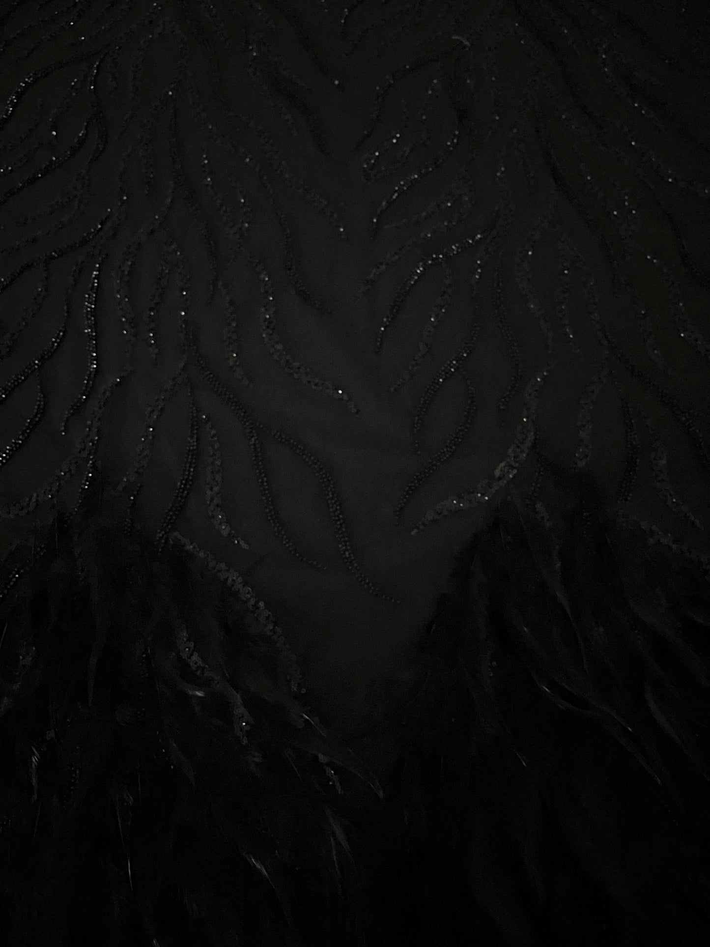 CISNE NEGRO