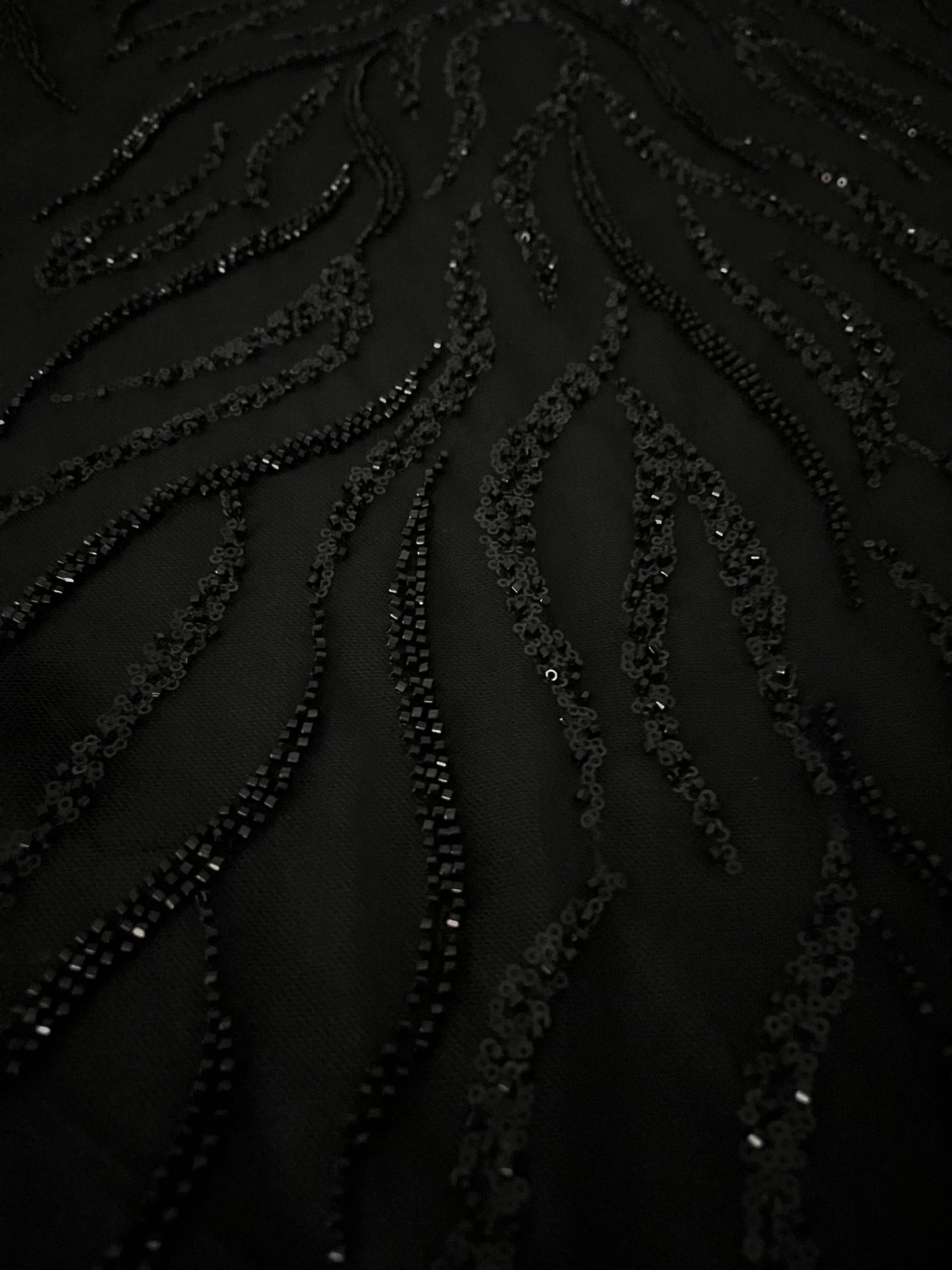 CISNE NEGRO
